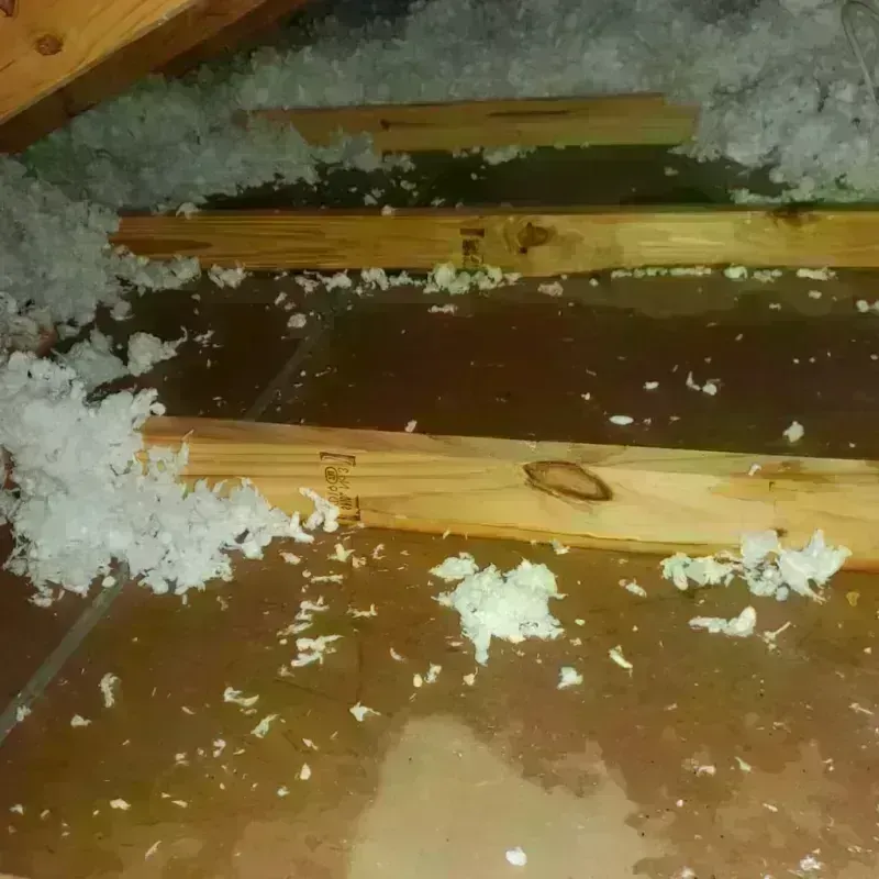 Attic Water Damage in Larimore, ND