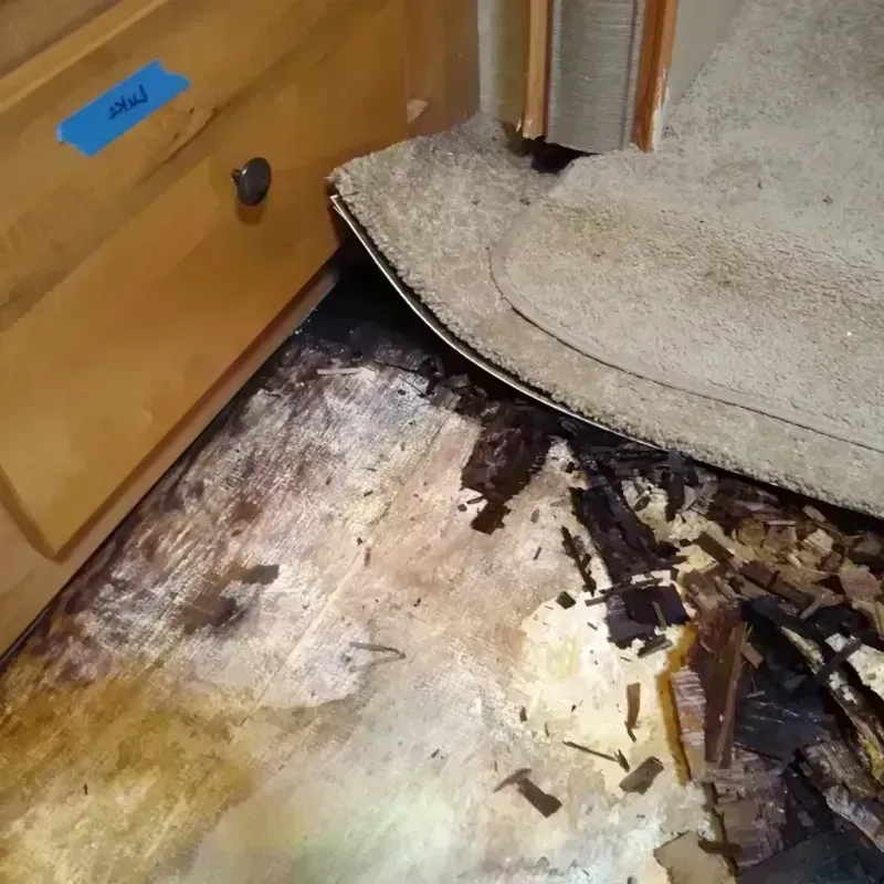 Best Wood Floor Water Damage Service in Larimore, ND